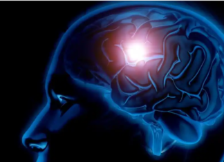 सिर्फ जिम जाने से नहीं बनेगी बात, दिमाग को भी चाहिए ‘कसरत’; न्यूरोलॉजिस्ट से जानें 3 आसान तरीके