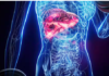 Liver Cancer Symptoms: शरीर के इन 4 बदलावों को न करें नजरअंदाज, हो सकते हैं कैंसर के खतरे के संकेत