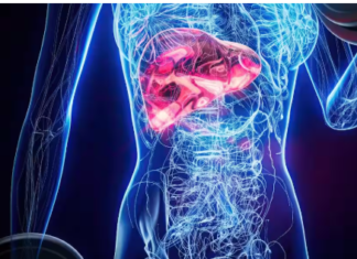 Liver Cancer Symptoms: शरीर के इन 4 बदलावों को न करें नजरअंदाज, हो सकते हैं कैंसर के खतरे के संकेत