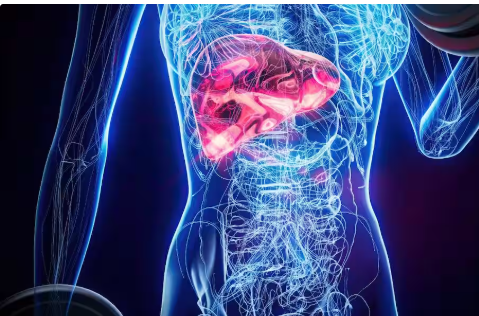 Liver Cancer Symptoms: शरीर के इन 4 बदलावों को न करें नजरअंदाज, हो सकते हैं कैंसर के खतरे के संकेत